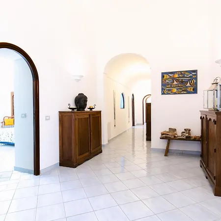 Elena By Myvillacollection